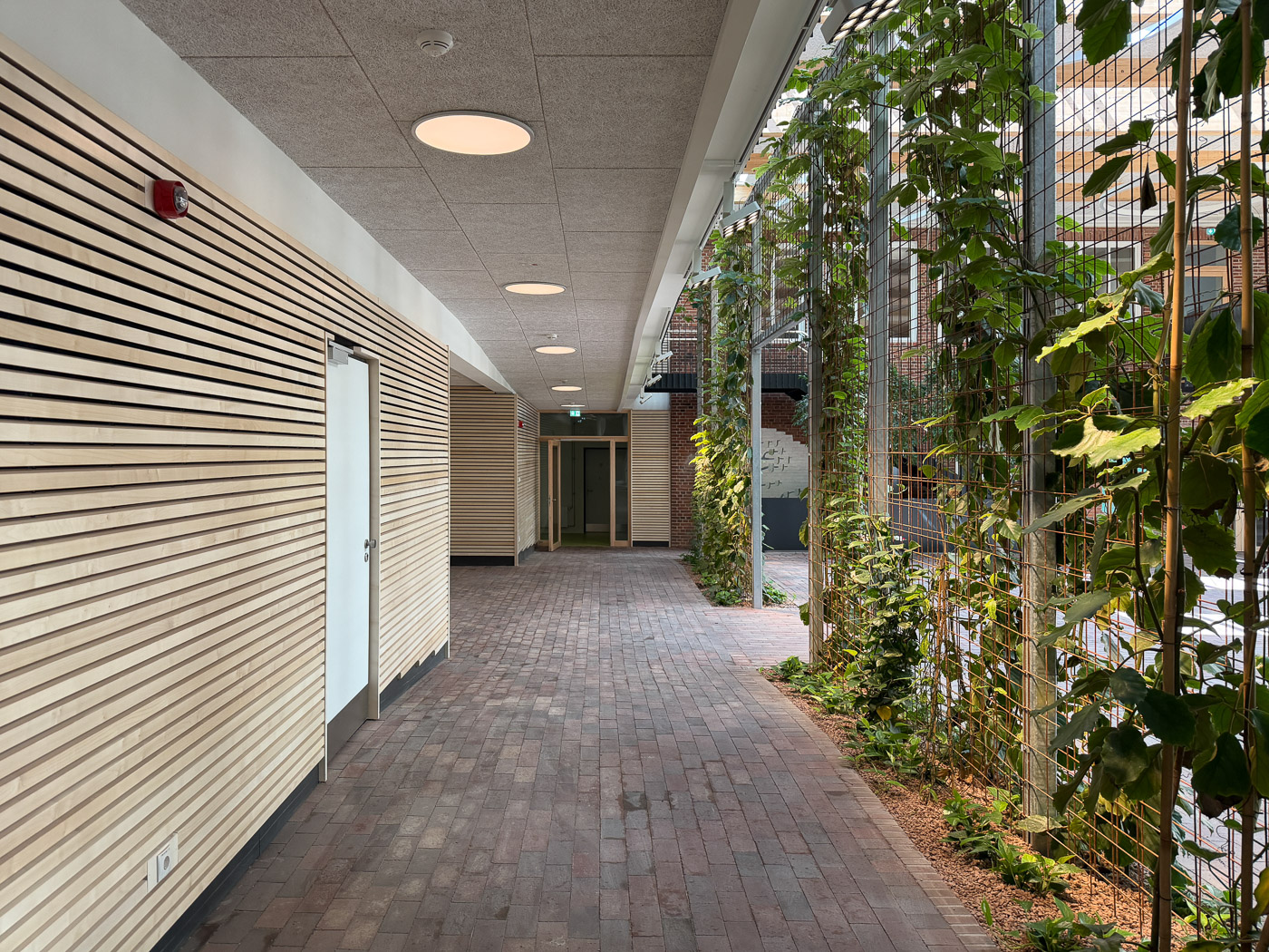 Gemeinschaftsschule Kappeln