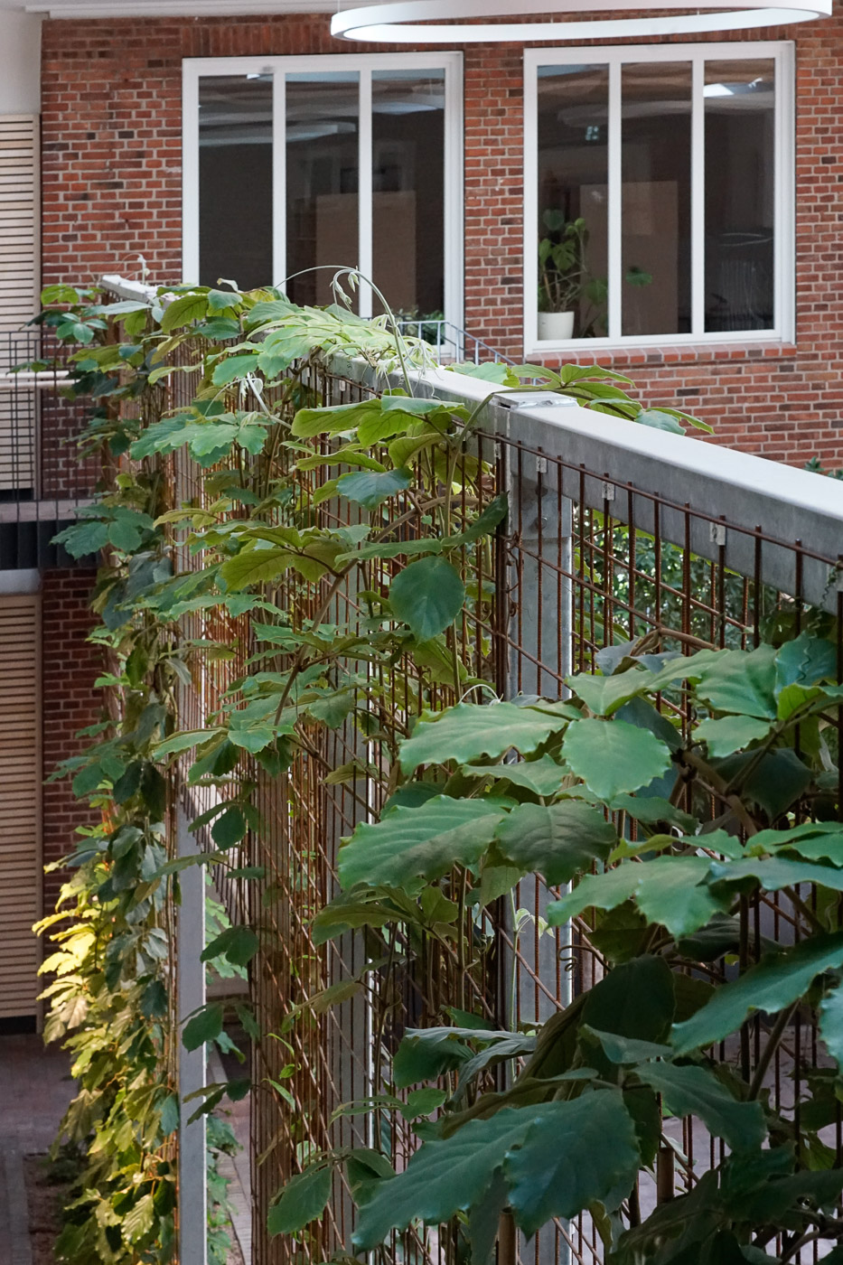 Gemeinschaftsschule Kappeln